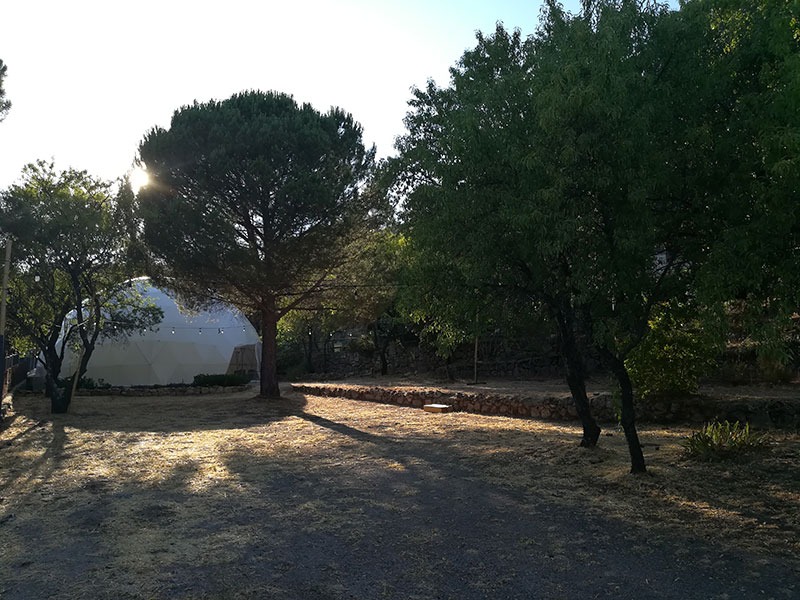Praderas y entorno natural de la finca