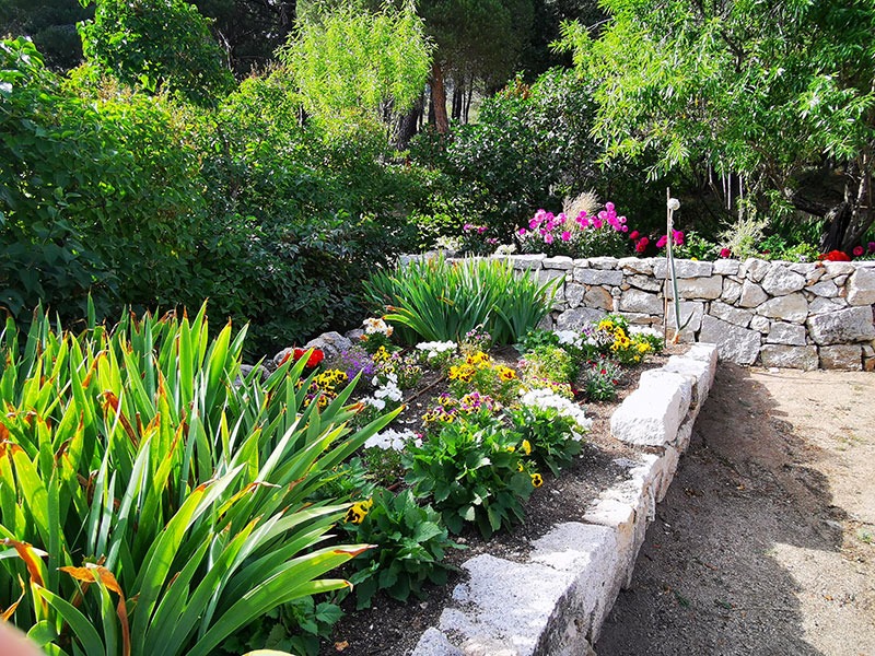 Jardín en flor