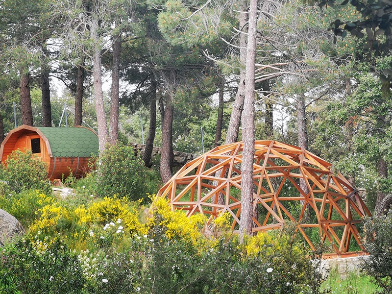 Domo de meditación entre pinos
