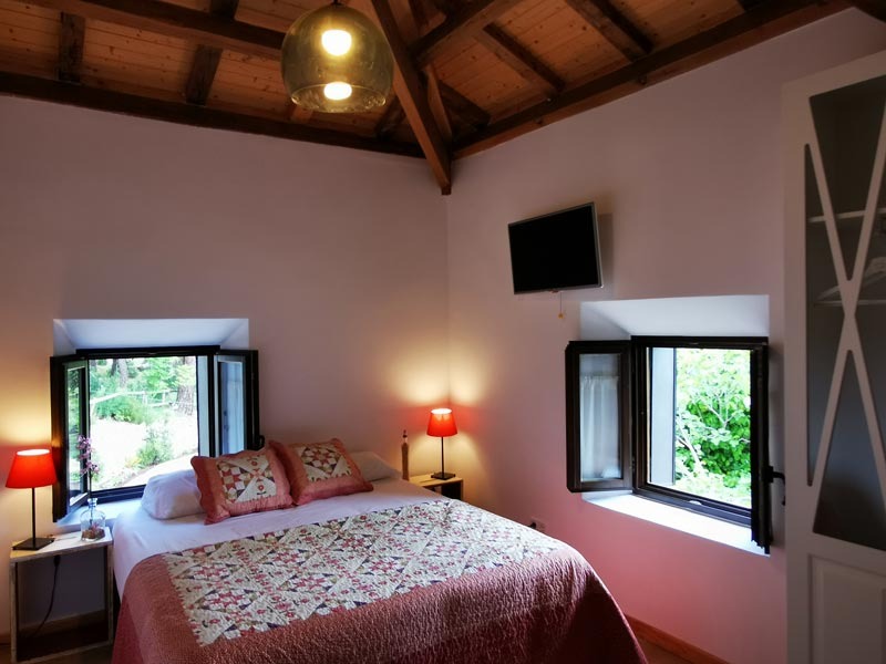 Habitación con vistas al bosque